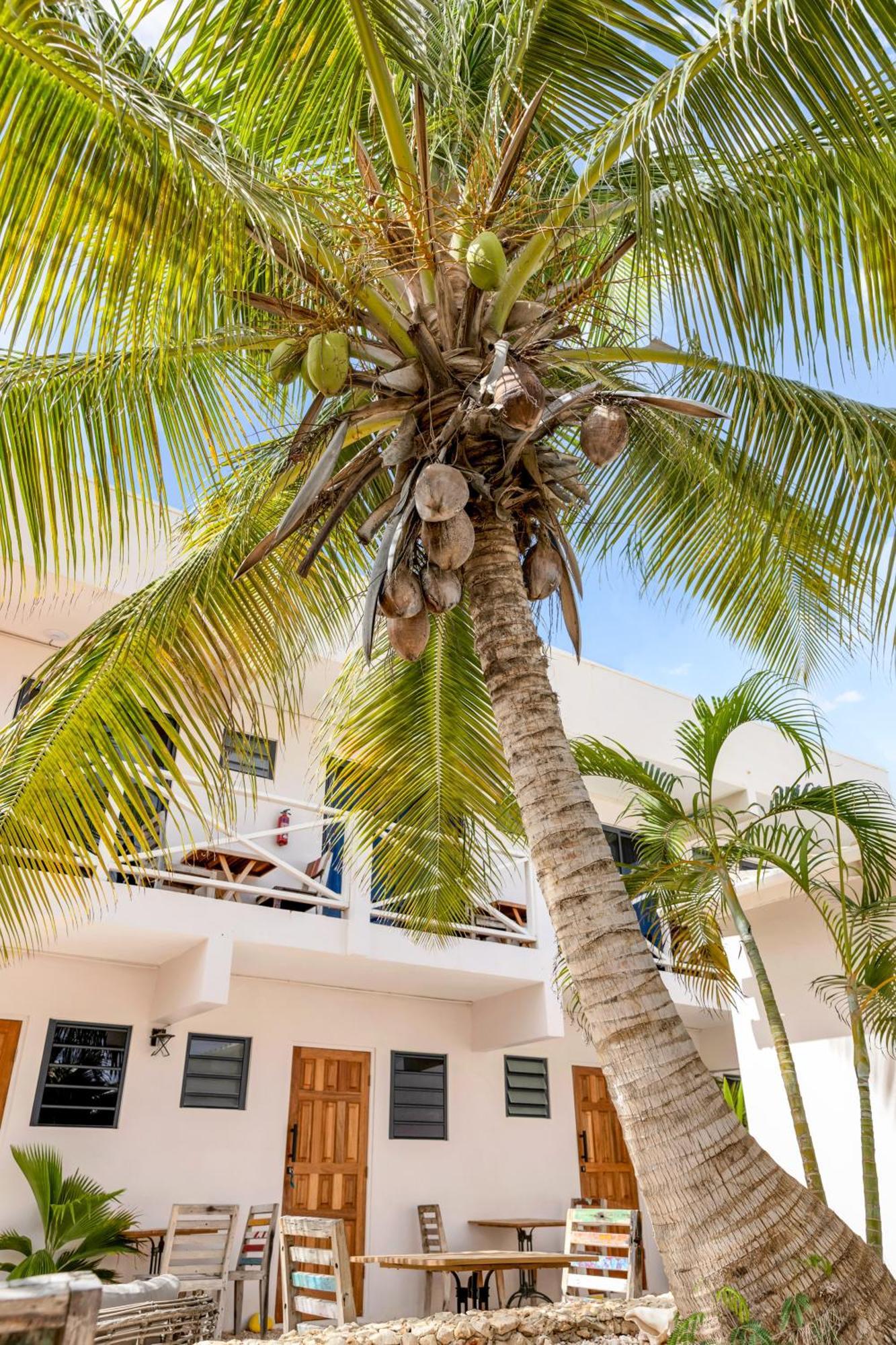 The Hut Bonaire Otel Playa Dış mekan fotoğraf
